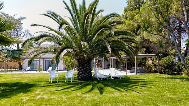 palmiye bahçesi